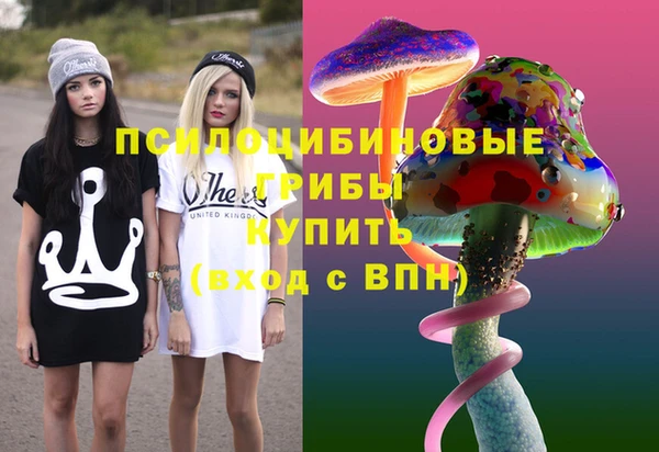 крисы Алзамай