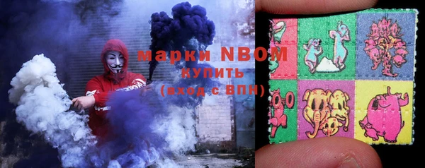 крисы Алзамай