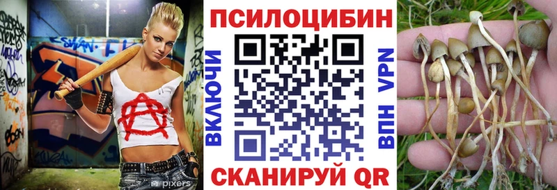 сколько стоит Белгород Галлюциногенные грибы мицелий